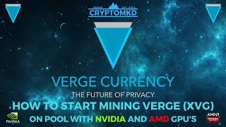 How to start mining Verge XVG on pool with NVIDIA and AMD GPUs [upl. by Chancey]