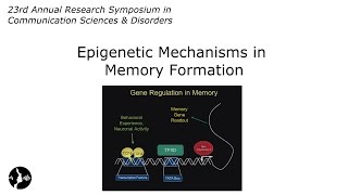 David Sweatt PhD Epigenetic Mechanisms in Memory Formation [upl. by Rehtaef]