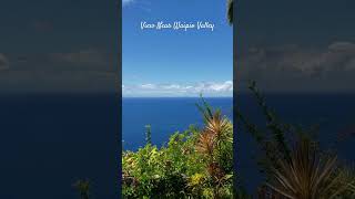 Views We Love Near Waipio Valley viewswelove [upl. by Harahs]