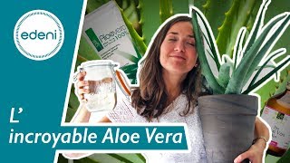 ALOE VERA  La recette du gel dAloe Vera Zero Déchet [upl. by Berlyn]