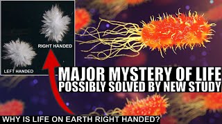 Major Breakthrough On Origins of Life on Earth Did Magnetism Cause Chirality [upl. by Salkcin]