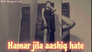 Hamar jila aashiq hate Song Lofi Slowed X Reverb SKR Bhojpuri Lofi [upl. by Canty]