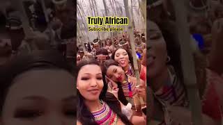 Zulu 👸zulu africa culture beauty views 4k trendingshorts trending 3d love [upl. by Thetis116]