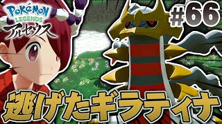 ウォロの元から逃げたギラティナを発見！『Pokémon LEGENDS アルセウス』を実況プレイpart66【ポケモンレジェンズ】 [upl. by Ylrbmik]