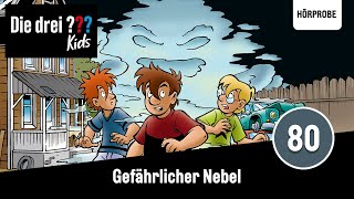 Die drei  Kids  Folge 80 Gefährlicher Nebel  Hörspiel [upl. by Vtarj]