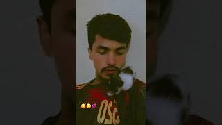 Eto valobasa kuthai rakhbo 🥰❤️💞trending animals cat viralvideo shorts [upl. by Consuelo]