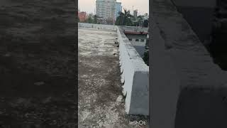 NEW GOVT DEGREE COLLEGE RAJSHAHI HAIDER HOSSAIN HOSTEL ROOFTOP VIEW 2024 [upl. by Elehcor]