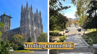 Strolling DC Washington National Cathedral to Embassy Row [upl. by Bonnell455]