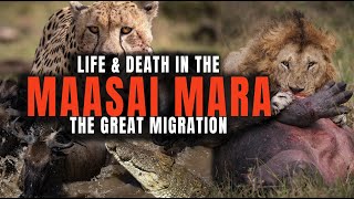 The Epic Struggle of Life amp Death During the Great Migration in the Maasai Mara Kenya Africa [upl. by Adachi605]