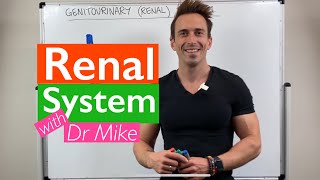 Renal System  Overview [upl. by Niuqauj421]