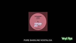 DJ STEVOLUTION  WORLDWIDE  NICHE  BASSLINE HOUSE  SPEED GARAGE  VINYL RIP [upl. by Annunciata534]