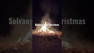 Solvang California burn Christmas tree 🎄 [upl. by Hoban]