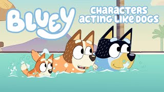 Bluey characters acting like dogs [upl. by Tami584]