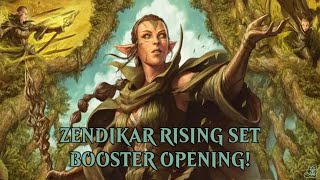 Zendikar Rising SET BOOSTER BOX  HUGE LIST HIT [upl. by Melba]