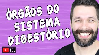 ÓRGÃOS DO SISTEMA DIGESTÓRIO E SUAS FUNÇÕES  Biologia com Samuel Cunha [upl. by Aihsoj]