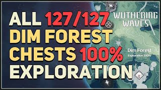 Dim Forest 100 Exploration All Chests Wuthering Waves [upl. by Rafaelof845]