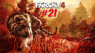 FAR CRY 4  21  SHANGRILA o Tigre Branco  HD1080pPORTUGUÊS [upl. by Blackmore]