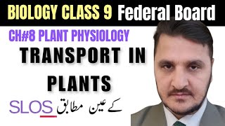 Transport in plants CH8 Biology class 9 Federal Board New Book Root and Root hairs structure [upl. by Akehsal828]