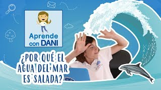 ¿Por qué el agua del mar es salada  Aprende con Dani [upl. by Eniliuqcaj]