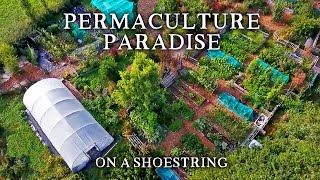 Inspirational SmallScale Permaculture Homestead  Low Cost SelfSufficiency on Less Than an Acre [upl. by Ardys]