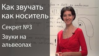 Английское произношение  6 секретов Звуки на альвеолах [upl. by Orat]