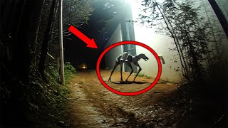 20 Creepy Cryptid Sightings Caught on Film [upl. by Nedaj]