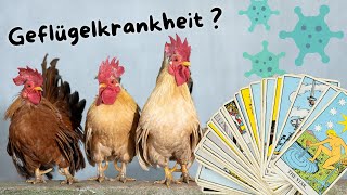 geplante Geflügelkrankheit [upl. by Alanna]