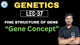 FINE STRUCTURE OF GENE  MOLECULAR STRUCTURE OF GENE  GENETICS 37 [upl. by Aronow537]