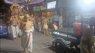 Mylapore Thiagaraja Mahotsavam Chennai [upl. by Eiramanel]