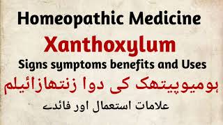 Xanthoxylum q 30 200 homeopathic medicine signs symptoms benefits and Uses in Hindi in Urdu Zain [upl. by Rennoc]