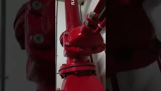 PMs fire pump and jockey pump [upl. by Sotnas277]