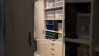 Home organization ideas Visiting a professional organizer [upl. by Eeresed]