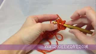 Single Crochet Tutorial 15 Vertical Rib in SC using Post Stitches [upl. by Petra888]