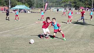 FQ Junior Cup 2024 Silver U12  Final Olympic FC vs GC Knights  25 June 2024 [upl. by Rolyt704]