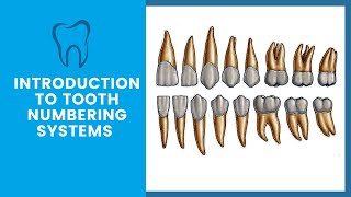 Introduction to Tooth Notation Systems  Tooth Numbering System [upl. by Melantha]