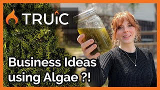 A Sustainable Business You Can Start at Home  Algae Farm Business Ideas [upl. by Yam]