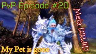 Guild Wars 2  Druid PvP Episode 20 PetPower [upl. by Nugent605]