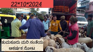 ಈ ವಾರದ ತುಮಕೂರು ಮರಿ ಸಂತೆ ಕಳೆ ಕಟ್ಟಿತ್ತು  agrianimals [upl. by Resee]