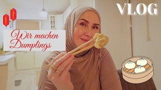 Täglich sieben Brotboxen vorbereiten😱 dm haul  erster Dumpling versuch  VLOG🤔 [upl. by Anavlys420]