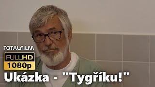 Teorie tygra 2016 ukázka  Tygříku [upl. by Welcy]