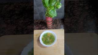 Zero Oil Soup Recipe  Without Corn Flour  Vegetable Coriander Soup soup ytshorts youtubeshorts [upl. by Nnylylloh248]