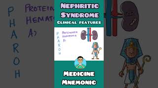 Nephritic Syndrome Clinical Features  mnemonic  shorts [upl. by Hpejsoj349]