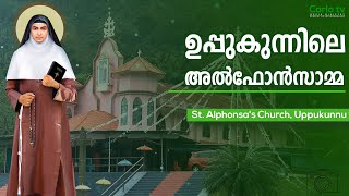 Feast of St Alphonsa at Uppukunnu  A Celebration of Faith and Devotion  Eparchy of Kothamangalam [upl. by Admana]