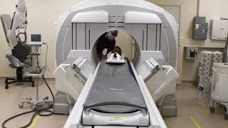 Mummified head and cat CT scan full video [upl. by Pelson]