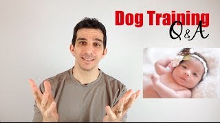 How to Introduce Your Dog to a Baby [upl. by Paris903]