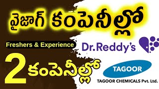 DR REDDYS TAGOOR LABORATORY COMPANY JOBS IN VIZAG FOR FRESHERS amp EXP  SUCCESS DRIVE TELUGU UPDATES [upl. by Platon]