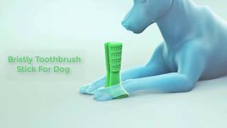 Bristly Toothbrush Stick For Dog On Sale DIY Toothbrush For Dog [upl. by Brown]