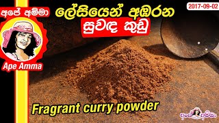 ★ ලේසියෙන් අඹරන සුවඳ කුඩු Sri lankan Fragrant Suwanda curry powder by Apé Amma [upl. by Ibmat819]