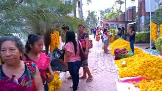 SAN LUIS ACATLÁN GRO TRADICIONAL TIANGUIS POR DÍA DE MUERTOS [upl. by Yumuk]