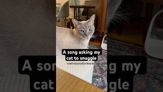 A song asking my cat to come snuggle with me 💙 catvideos catshorts jessemccartney catmusic [upl. by Peltier]